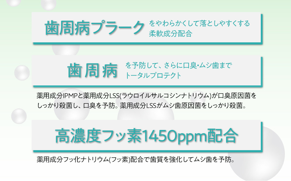 【寄附額見直しました！】LION ハミガキ NONIO×システマ使い比べセット 日用品 ふるさと納税