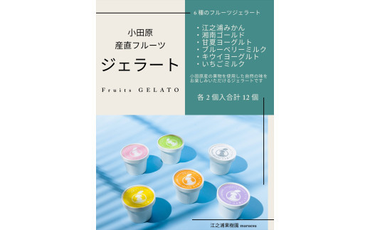 【定期便 3回】 小田原産江之浦ジェラート６種（みかん、湘南ゴールド、ブルーベリーミルク、いちごミルク、キウイヨーグルト、甘夏ヨーグルト）120mlカップ各２個合計１２個