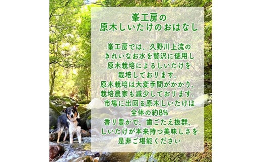 スイスで加工品を学んだ農家が手間暇かけて手づくりした『しいたけとたまねぎのなんでもソース』≪レギュラーサイズ≫18本セット【 家庭用 自宅用 贈答品 贈答用 ギフト お取り寄せ お中元 お歳暮 贈り物 お祝い 神奈川県 小田原市 】