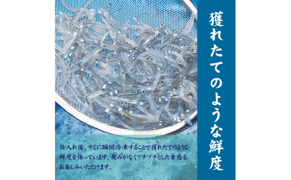 湘南しらす　3色セット