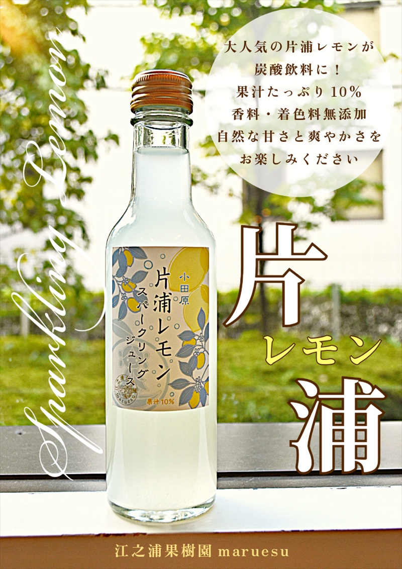 定期便（2カ月ごと全６回）小田原産江之浦みかん・江之浦あまなつ・片浦レモンスパークリング果汁入り飲料２００ml各１０本合計３０本セット【 神奈川県 小田原市 】