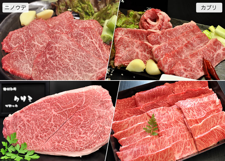 牛肉 定期便 9回 幻の相州黒毛和牛肩肉 800g×9回 計7.2kg【 相州牛 相州和牛 神奈川県 小田原市 】