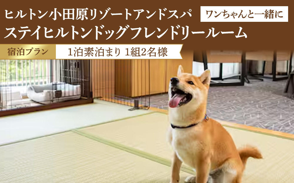 【チケット有効期限延長！】ワンちゃんと一緒にステイヒルトンドッグフレンドリールーム素泊まり（平日）【オーシャンビュー フィットネス 天然温泉大浴場 バーデゾーン 朝食ビュッフェ 都心から１時間のリゾート ヒルトン 神奈川県 小田原市 】