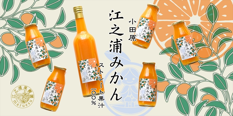 定期便 （2カ月ごと全6回） 小田原産江之浦みかん１００％ストレートジュース５００ml６本【 神奈川県 小田原市 】