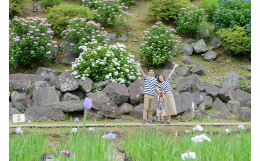 小田原城撮影（60分撮影/写真データ付き）【小田原城 撮影 60分 写真カメラマン 思い出 同行撮影 事前予約 平日 時間内撮影し放題 小田原市内 記念 予約制 古民家 記念撮影 神奈川県 小田原市 】