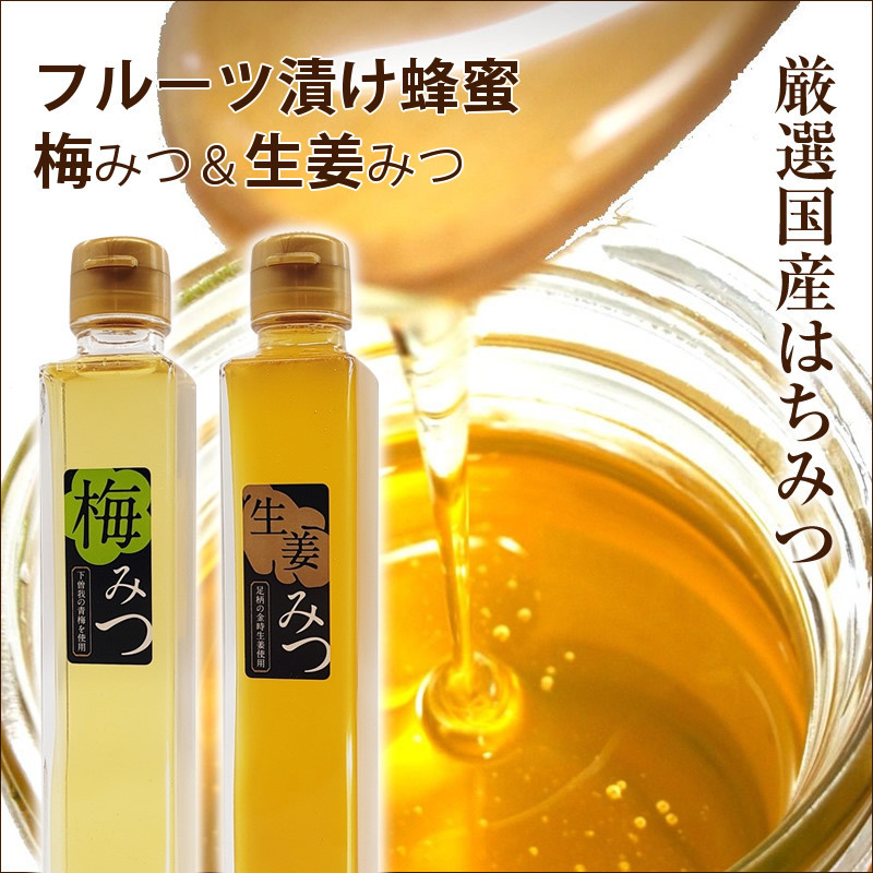 フルーツ漬け蜂蜜2本セット（梅みつ＆生姜みつ）【はちみつ ハチミツ 蜂蜜 家庭用 自宅用 贈答品 贈答用 ギフト お取り寄せ 御中元 お中元 お歳暮 父の日 母の日 贈り物 梅 生姜 フルーツ 神奈川県 小田原市 】