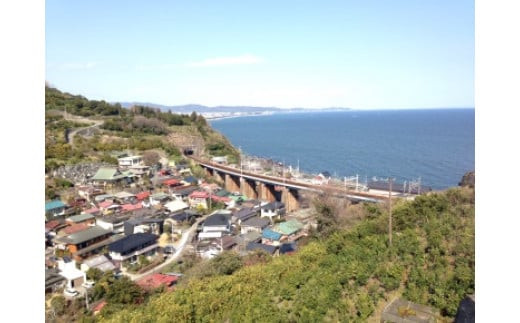 小田原の海を潜ろう！ガイド付きファンダイビング【2ビーチ】【石橋ダイビングセンター 小田原でダイビング Cカード保有者様向け 四季折々の水中景観 ファンダイビング 豊富な生物層 神奈川県 小田原市 】