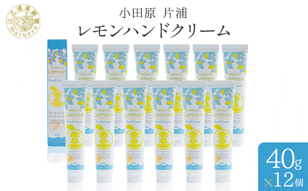 小田原 片浦レモンハンドクリーム１２個