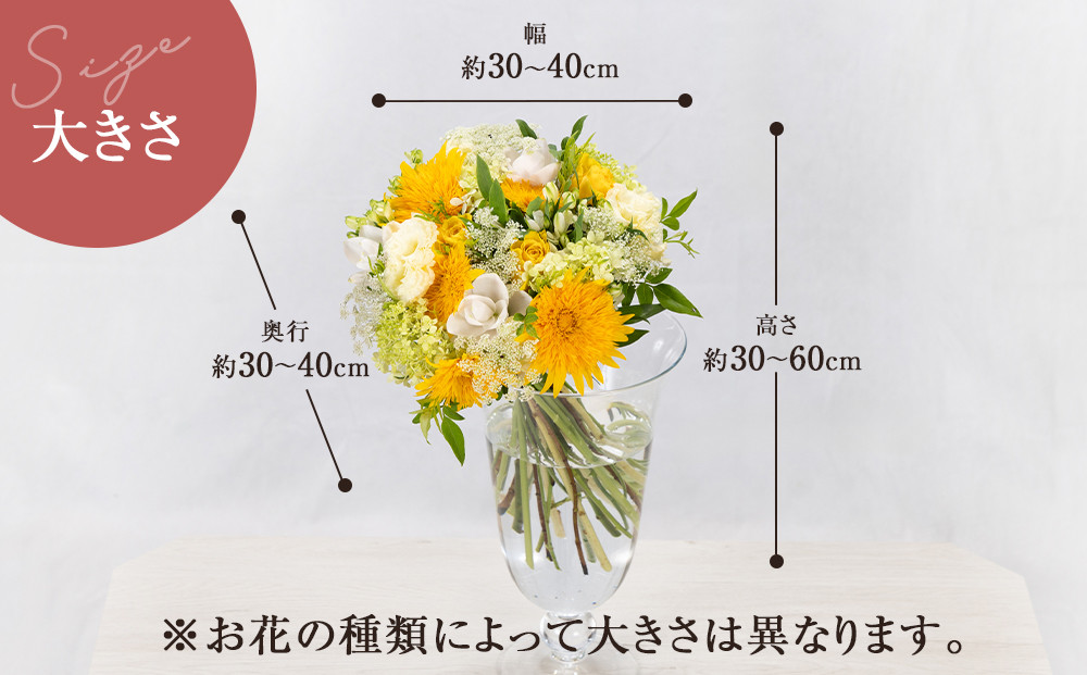 ããæ¯é±ãå±ããæ¬ã®è±æïŒ52åïŒ1幎éïŒããæ¯é±ãå±ããæ¬ã®è±æ 52å äžçããå± ãã©ã¯ãŒããªãŒã ãžã£ãã³ã«ãã åœå
äž»èŠã³ã³ãã¹ãåè³ èŽãç© ãè±ã®å®æäŸ¿ ïŒå¹Žéå±ãè±æ ãã©ã¯ãŒã©ã€ã ç¥å¥å·ç å°ç°ååž ã