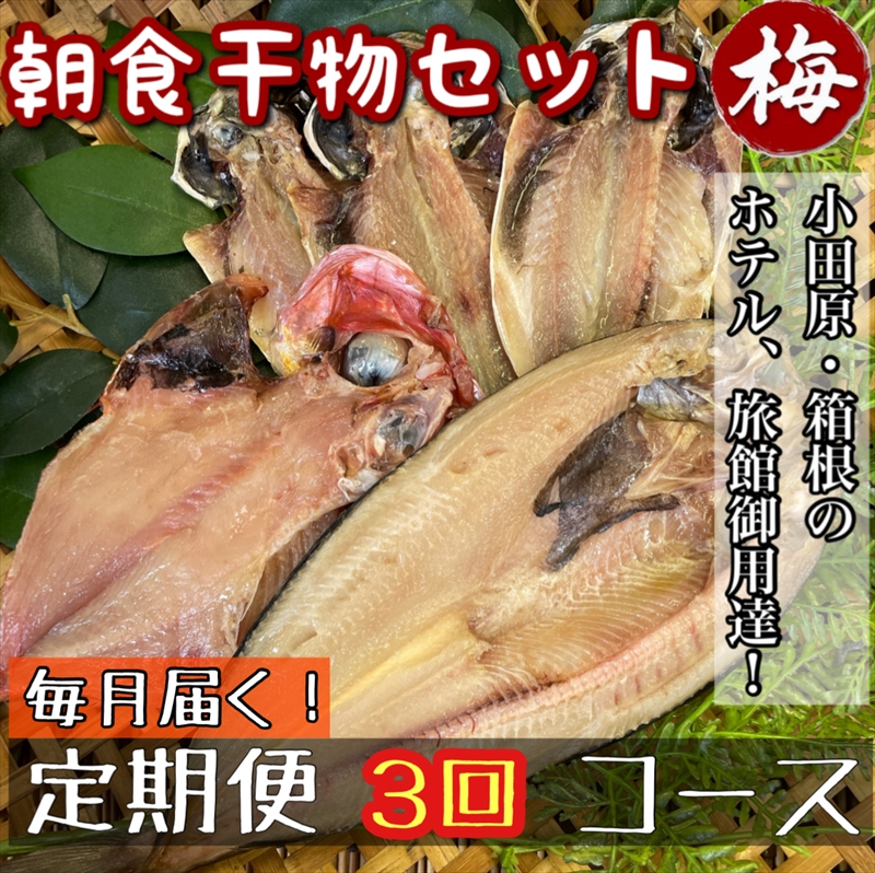 【毎月定期便3回】小田原、箱根の旅館、ホテル御用達！朝食干物セット 梅【 まぐろや 神奈川県小田原市 】