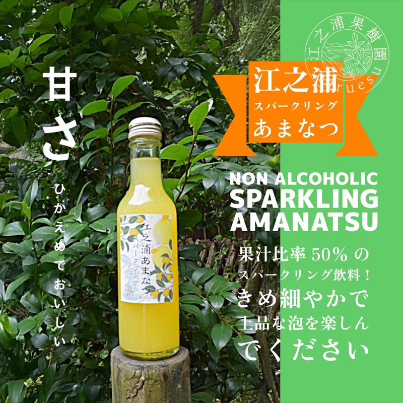 定期便１２回 小田原産江之浦あなまつスパークリング果汁入り飲料果汁５０％２００ml３０本【 神奈川県 小田原市 】