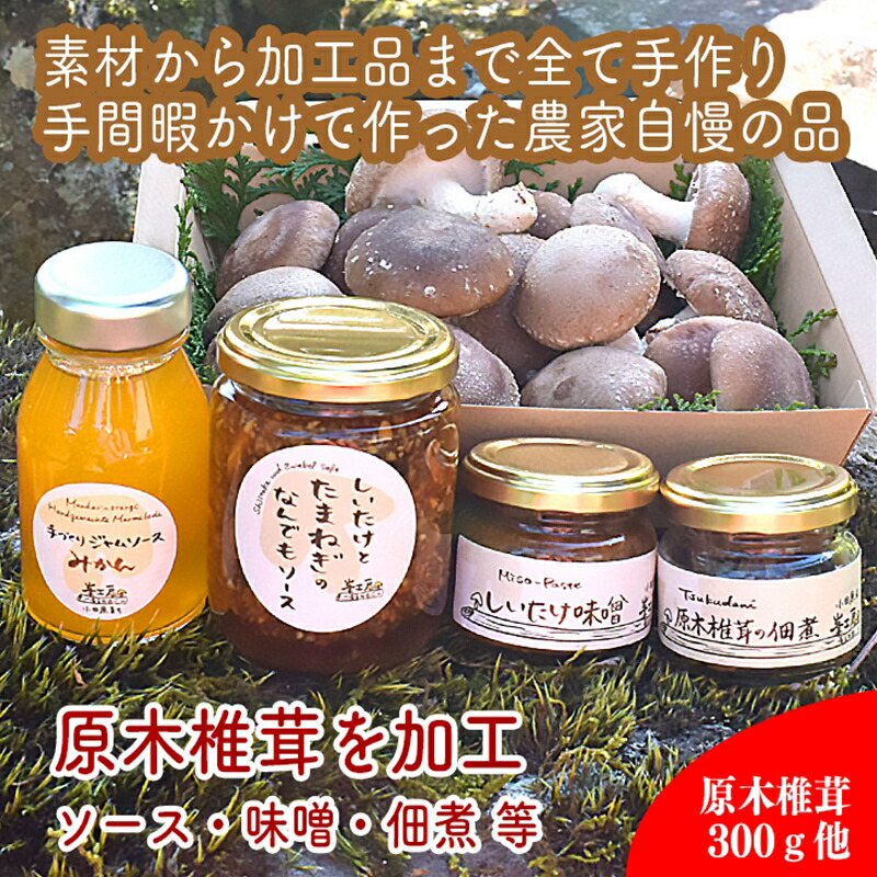 原木生椎茸と椎茸のソース&味噌&佃煮、椎茸の廃ホダを肥料に育ったみかんジャムのセット【 神奈川県 小田原市 】