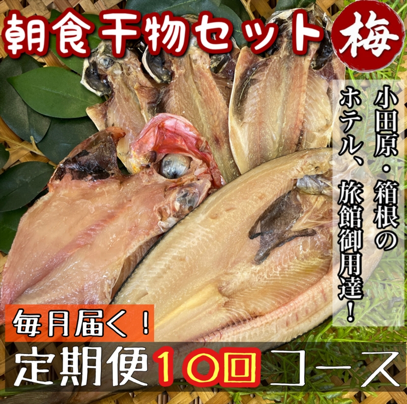 【毎月定期便10回】小田原、箱根の旅館、ホテル御用達！朝食干物セット 梅【 まぐろや 神奈川県小田原市 】