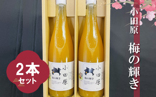 小田原 梅の輝き720ML瓶（梅ドリンク）2本セット【 飲み物 ドリンク 神奈川県 小田原市 】