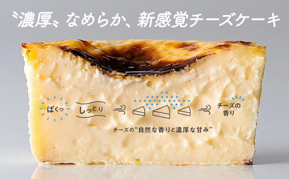 箱根発！なめらか濃厚バスクチーズケーキ 箱根チーズテラス・カプチ 【プレーン6個セット】