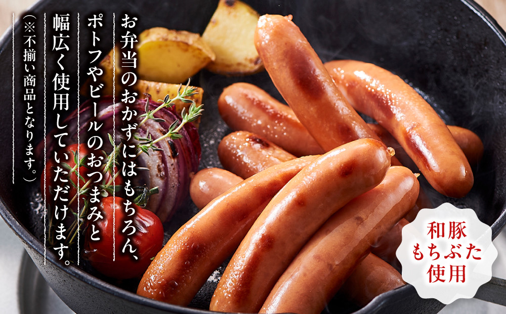 【大容量１kg！】【ふるさと納税限定】和豚もちぶた使用ウインナー【 惣菜 おかず 家庭用 自宅用 贈答品 贈答用 ギフト お取り寄せ お中元 お歳暮 贈り物 神奈川県 小田原市 】