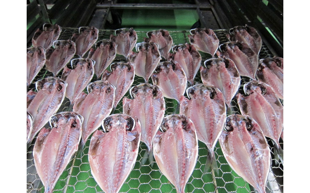 小田原ひもの詰合せ s45【惣菜 魚 干物 ひもの お取り寄せ 御中元 お中元 お歳暮 父の日 母の日 贈り物 家庭用 自宅用 贈答品 贈答用 ギフト 定番 朝食 朝ごはん 国産 中あじ、中かます、中金目鯛  神奈川県 小田原市 】