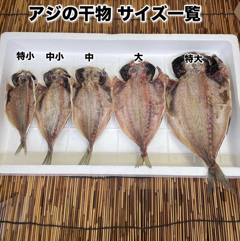 鯵の干物 特小サイズ 10枚セット 【 まぐろや 神奈川県 小田原市 】