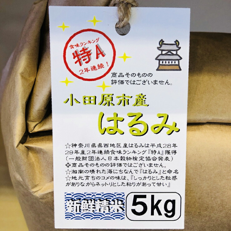 【定期便 3ヶ月】 志村屋米穀店 令和6年産新米小田原市産　はるみ　新米　5kg　＜出荷時期：10月中旬より順次出荷開始＞