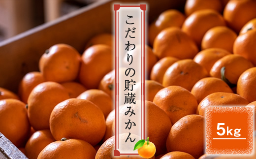 ＜品種厳選＞こだわりの貯蔵みかん　5キロ＜2024年12月20日出荷開始～2025年2月28日出荷終了＞【 みかん 神奈川県 小田原市 】