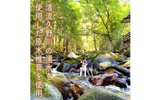 ãããããããã³ã6åã»ããã å®¶åºçš èªå®
çš èŽçå èŽççš ã®ãã ãåãå¯ã ãäžå
ãæ³æ® èŽãç© ãç¥ã ç¥å¥å·ç å°ç°ååž ã