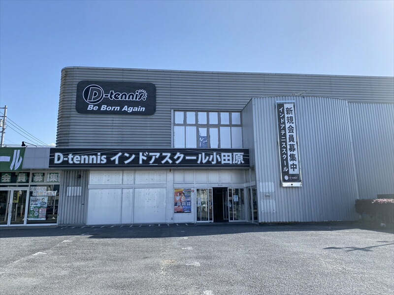 D-テニス小田原　会員限定　１ヶ月レッスン料　４回　ジュニア【 神奈川県 小田原市 】