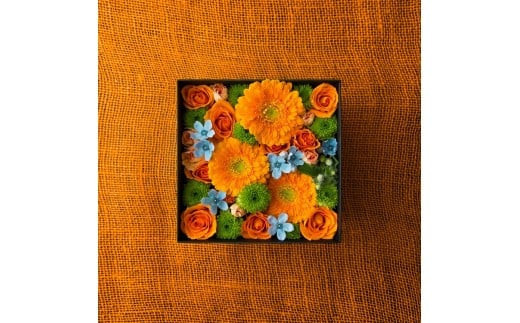 å£ç¯ããšã«å±ããããã¹ããè±ãSãµã€ãºïŒ4åãå±ãïŒãå£ç¯ããšã«å±ããããã¹ããè± Sãµã€ãº ãã©ã¯ãŒã©ã€ã äžçããå± ãã©ã¯ãŒããªãŒã ãžã£ãã³ã«ãã ãã©ã¯ãŒã¢ã¬ã³ãžã¡ã³ã 6çš®é¡ã®ãã©ã¯ãŒã¹ã¿ã€ã« ç¥å¥å·ç å°ç°ååž ã