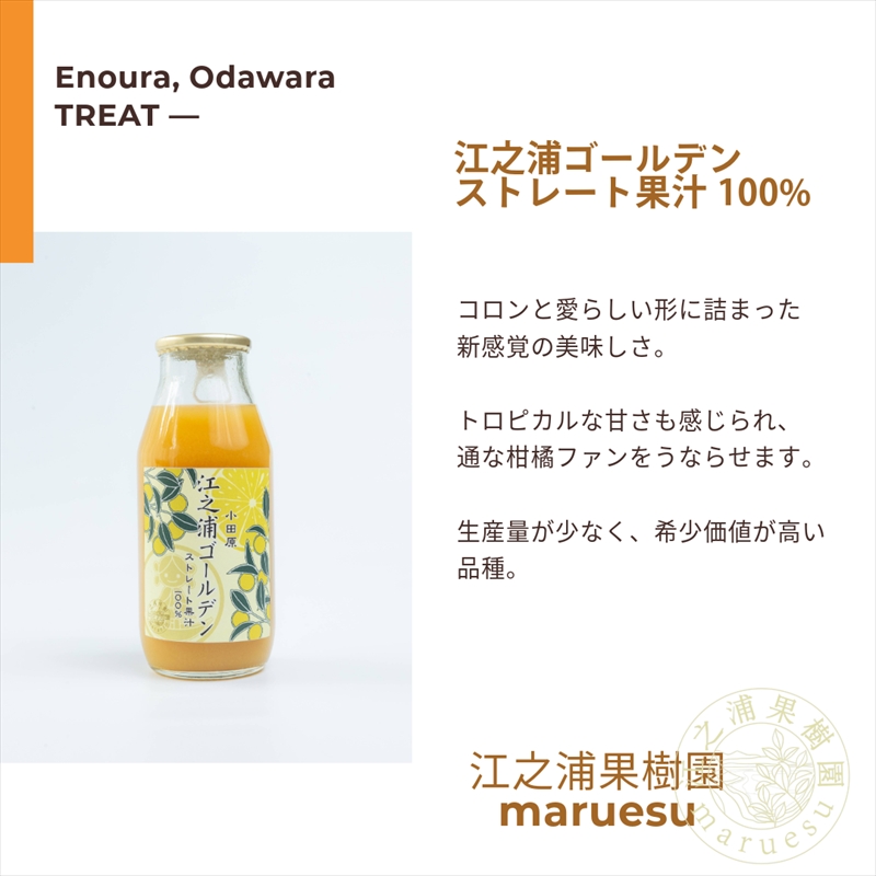 小田原産江之浦みかんジュース５種のみくらべ１０本セット うんしゅう・しらぬい・ゴールデン・なつみ・バレンシアオレンジ１００％ストレートジュース１８０ml各２本合計１０本【 神奈川県 小田原市 】