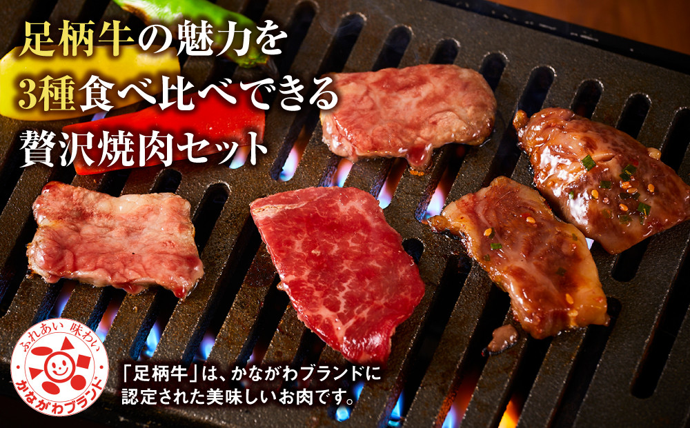 足柄牛3種焼肉セット（カルビ　上モモ　中落カルビ各250ｇ）【 肉 国産  神奈川県 小田原市 】