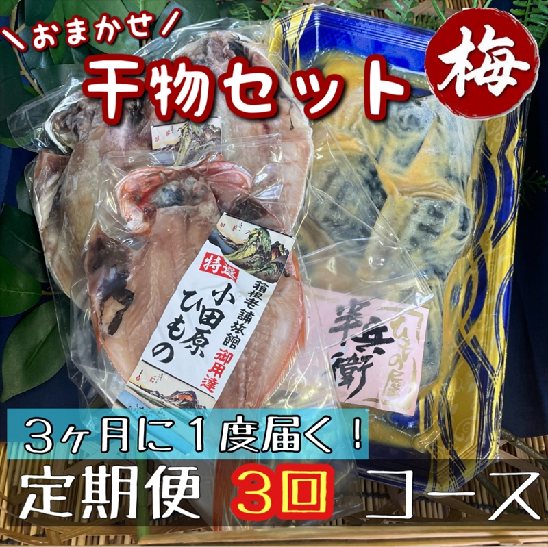 【3ヶ月に1回定期便3回】厳選！小田原の旬の干物セット 梅【 まぐろや 神奈川県小田原市 】