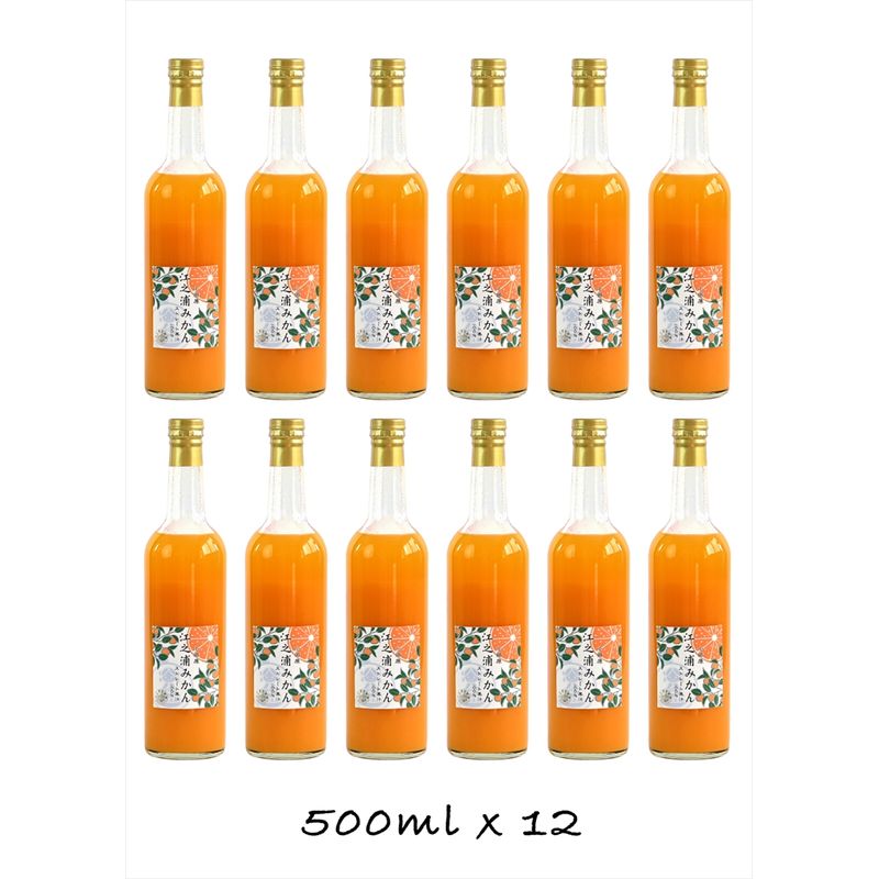 定期便（2カ月ごと全3回）小田原産江之浦みかん１００％ストレートジュース５００ml１２本【 神奈川県 小田原市 】