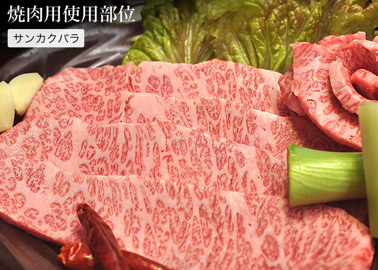 牛肉 定期便 12回 幻の相州黒毛和牛肩肉 800g×12回 計9.6kg【 相州牛 相州和牛 神奈川県 小田原市 】