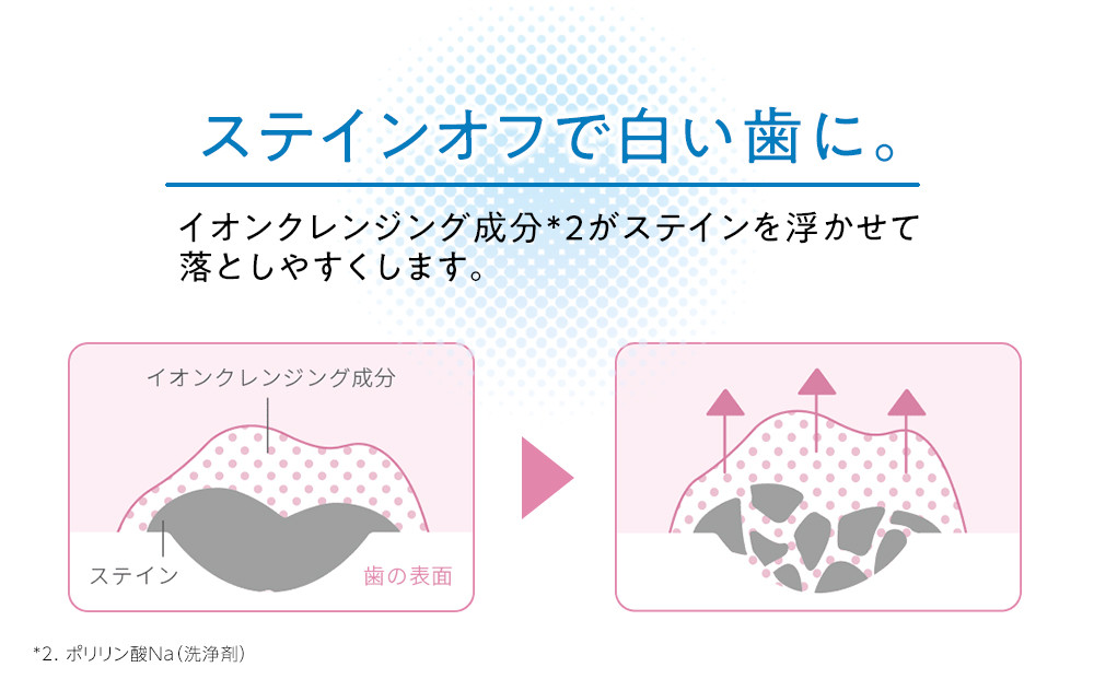 【寄附額見直しました！】LION ハミガキ NONIO×システマ使い比べセット 日用品 ふるさと納税
