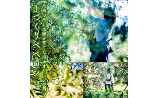 ãããããããã³ã6åã»ããã å®¶åºçš èªå®
çš èŽçå èŽççš ã®ãã ãåãå¯ã ãäžå
ãæ³æ® èŽãç© ãç¥ã ç¥å¥å·ç å°ç°ååž ã