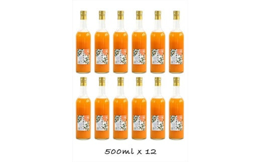 【定期便（2カ月ごと全6回）】小田原産江之浦みかん１００％ストレートジュース５００ml１２本