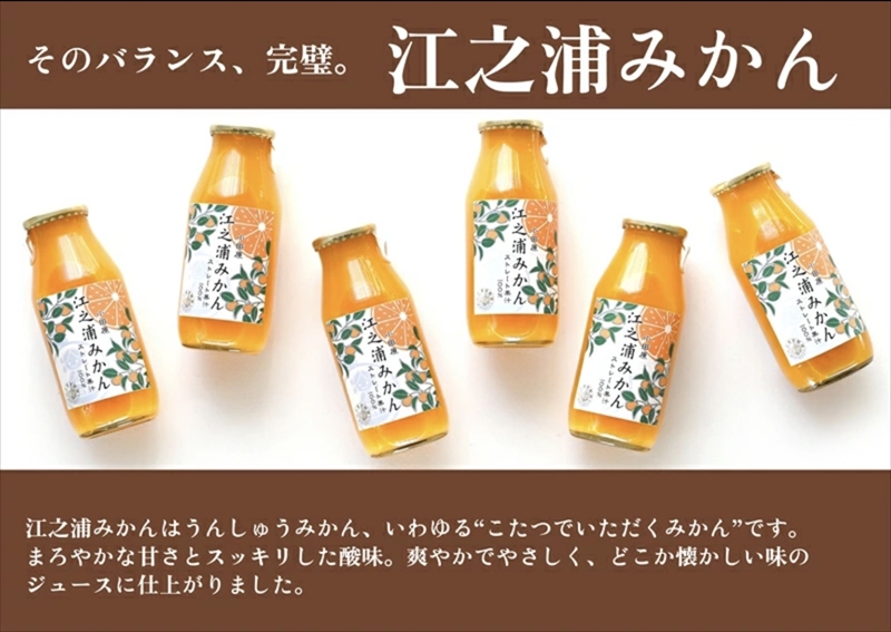 定期便 （2カ月ごと全３回） 小田原産江之浦みかん１００％ストレートジュース１８０ml３０本【 神奈川県 小田原市 】