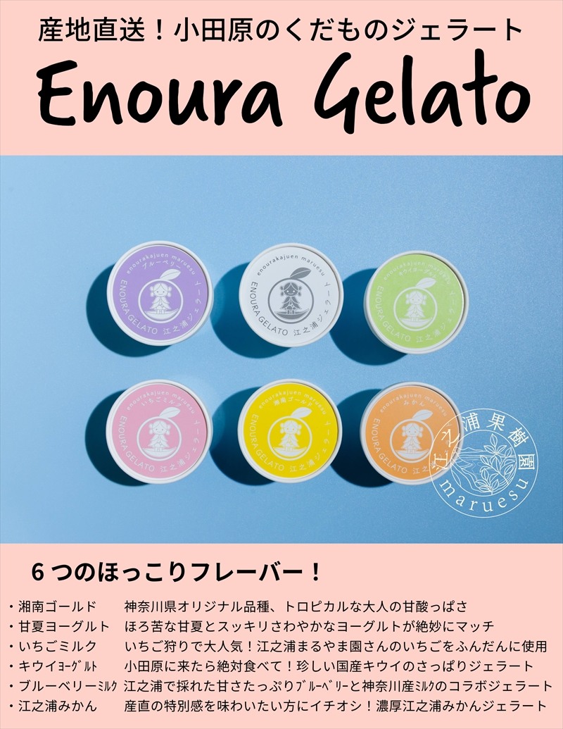 定期便（2カ月ごと全３回）小田原産江之浦ジェラート６種（みかん、湘南ゴールド、ブルーベリーミルク、いちごミルク、キウイヨーグルト、甘夏ヨーグルト）120mlカップ各２個合計１２個【 神奈川県 小田原市 】