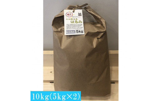 志村屋米穀店 令和7年産小田原市産　はるみ　10kg（5kgｘ2）