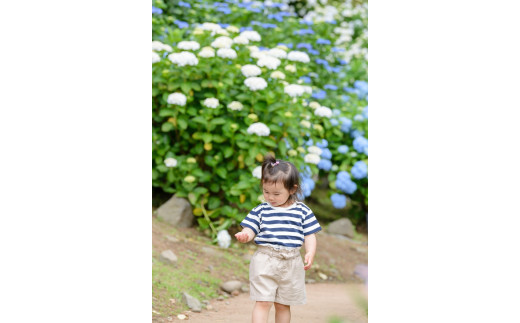 小田原城撮影（60分撮影/写真データ付き）【小田原城 撮影 60分 写真カメラマン 思い出 同行撮影 事前予約 平日 時間内撮影し放題 小田原市内 記念 予約制 古民家 記念撮影 神奈川県 小田原市 】