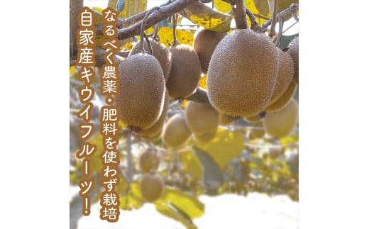 ã¹ã€ã¹ã§å å·¥åãåŠãã 蟲家ãäœã£ããæã¥ãããã£ãããŒãªãŒã ããŸãã20æ¬ã»ãã 130ml ã¿ãã çå€ ããŠã€ã å®¶åºçš èªå®
çš èŽçå èŽççš ã®ãã ãåãå¯ã ãäžå
ãæ³æ® èŽãç© ãç¥ã ç¥å¥å·ç å°ç°ååž ã