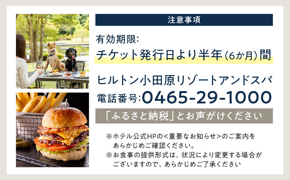 【チケット有効期限延長！】ブラッセリー「フローラ」ランチブッフェ招待券【ヒルトン ブッフェ　ブラッセリー「フローラ」 1組2名様 招待券 食事 肉 魚 野菜 デザート プレゼント 記念　旅行 ヒルトン小田原 ご褒美 神奈川県 小田原市 】