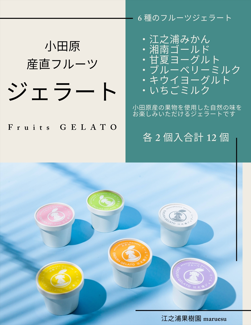 定期便（2カ月ごと全３回）小田原産江之浦ジェラート６種（みかん、湘南ゴールド、ブルーベリーミルク、いちごミルク、キウイヨーグルト、甘夏ヨーグルト）120mlカップ各２個合計１２個【 神奈川県 小田原市 】