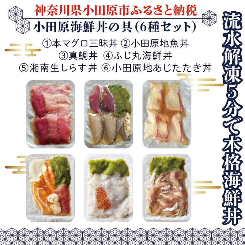 【高級食材本マグロ、曽我の梅干し、小田原地あじ、小田原港直送地魚丼、大磯港直送、湘南生しらす】小田原海鮮丼の具（6種セット）【 海鮮 神奈川県 小田原市 】