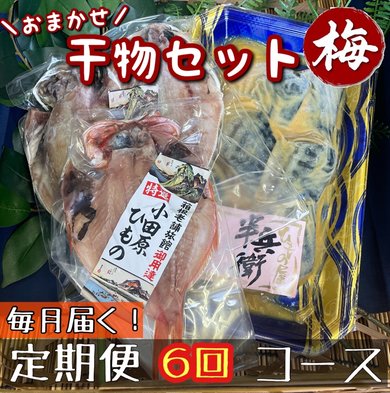 【毎月定期便6回】厳選！小田原の旬の干物セット 梅【 まぐろや 神奈川県小田原市 】