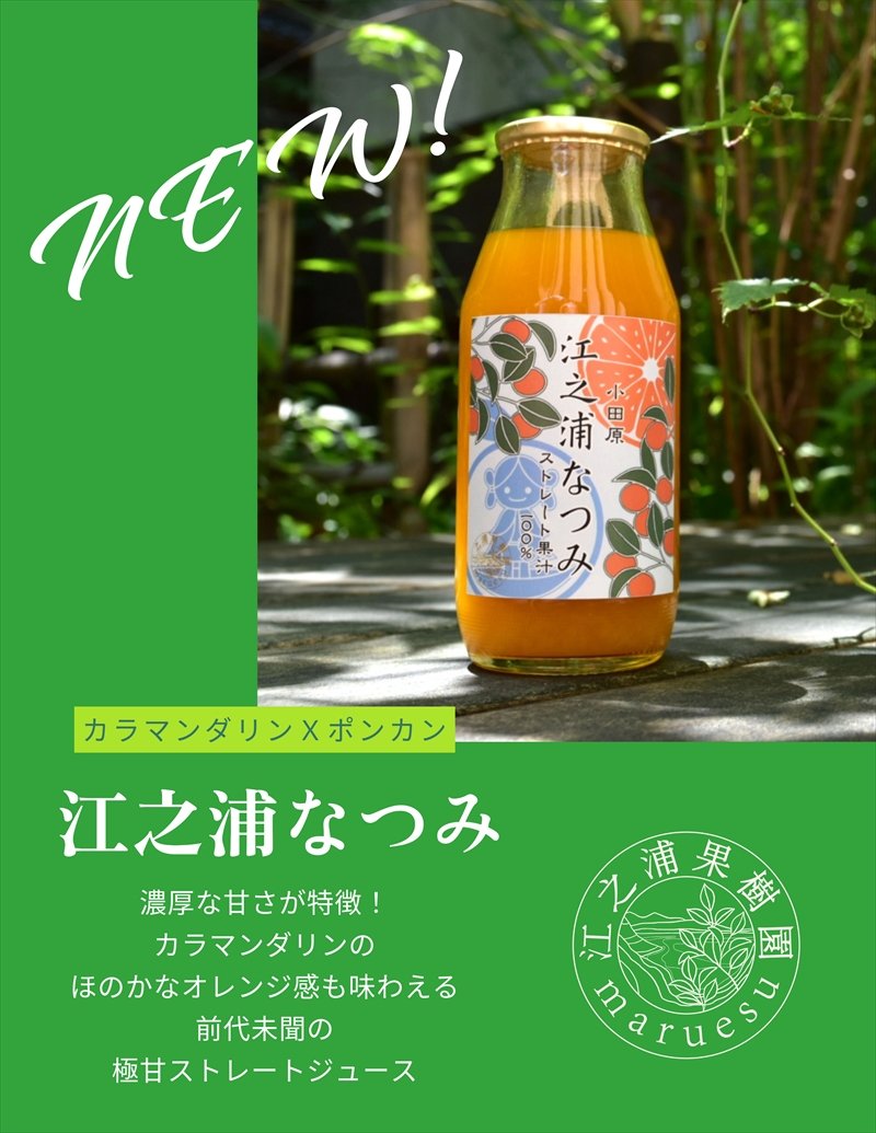 定期便６回 小田原産江之浦みかんジュース３種のみくらべ３０本セット うんしゅう・なつみ・バレンシアオレンジ１００％ストレートジュース１８０ml各１０本合計３０本【 神奈川県 小田原市 】