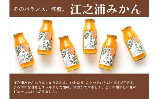 【定期便 6回】 小田原産江之浦みかん１００％ストレートジュース１８０ml３０本