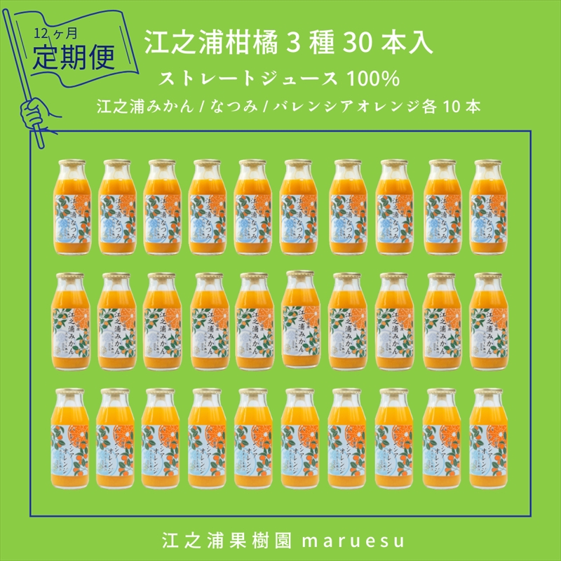 定期便１２回 小田原産江之浦みかんジュース３種のみくらべ３０本セット うんしゅう・なつみ・バレンシアオレンジ１００％ストレートジュース１８０ml各１０本合計３０本【 神奈川県 小田原市 】