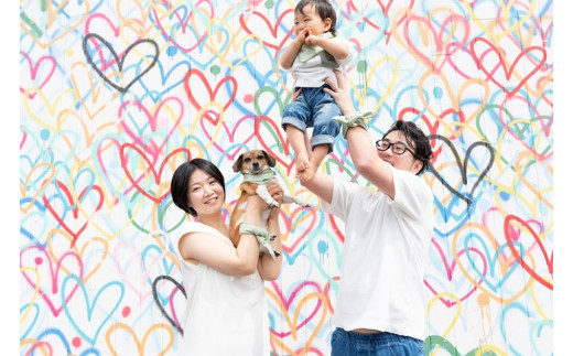 スライドショー制作（お写真約20枚）【思い出 お祝い 出産 マタニティ 結婚 七五三 入学 旅行 記念 写真 スライド 神奈川県 小田原市 】