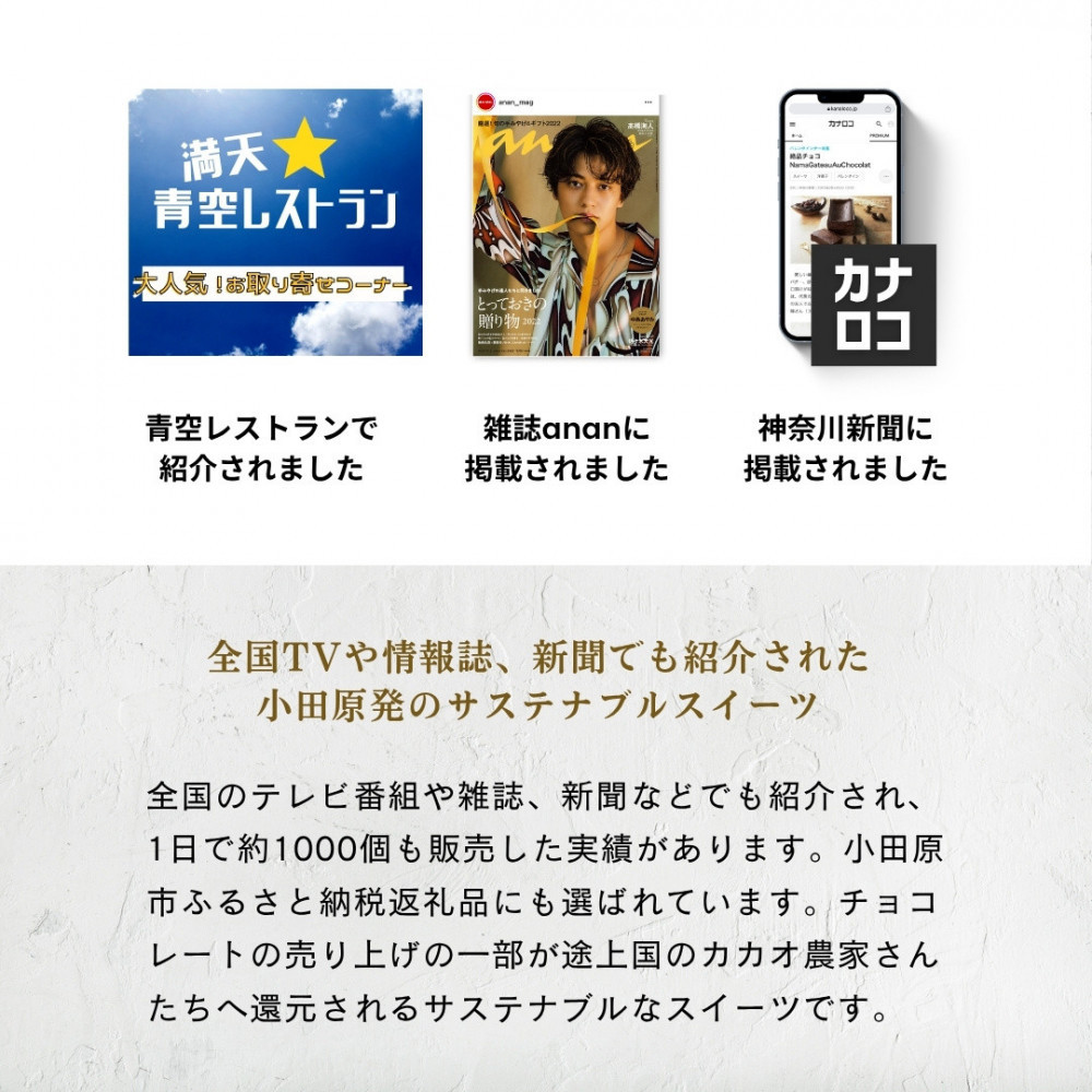  極上の口溶け。幸せの生ガトーショコラ 300g 2本セット【 高級 濃厚  極上スイーツ グルテンフリー チョコ ショコラテリーヌ 高品質クーベルチュールチョコレート使用 一流シェフ 神奈川県 小田原市 】