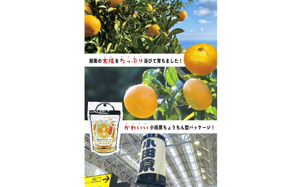 ç¡æ·»å ãã©ã€ãã«ãŒã(ããŠã€)16gÃ2è¢å
¥ã ç¥å¥å·çå°ç°ååž ã